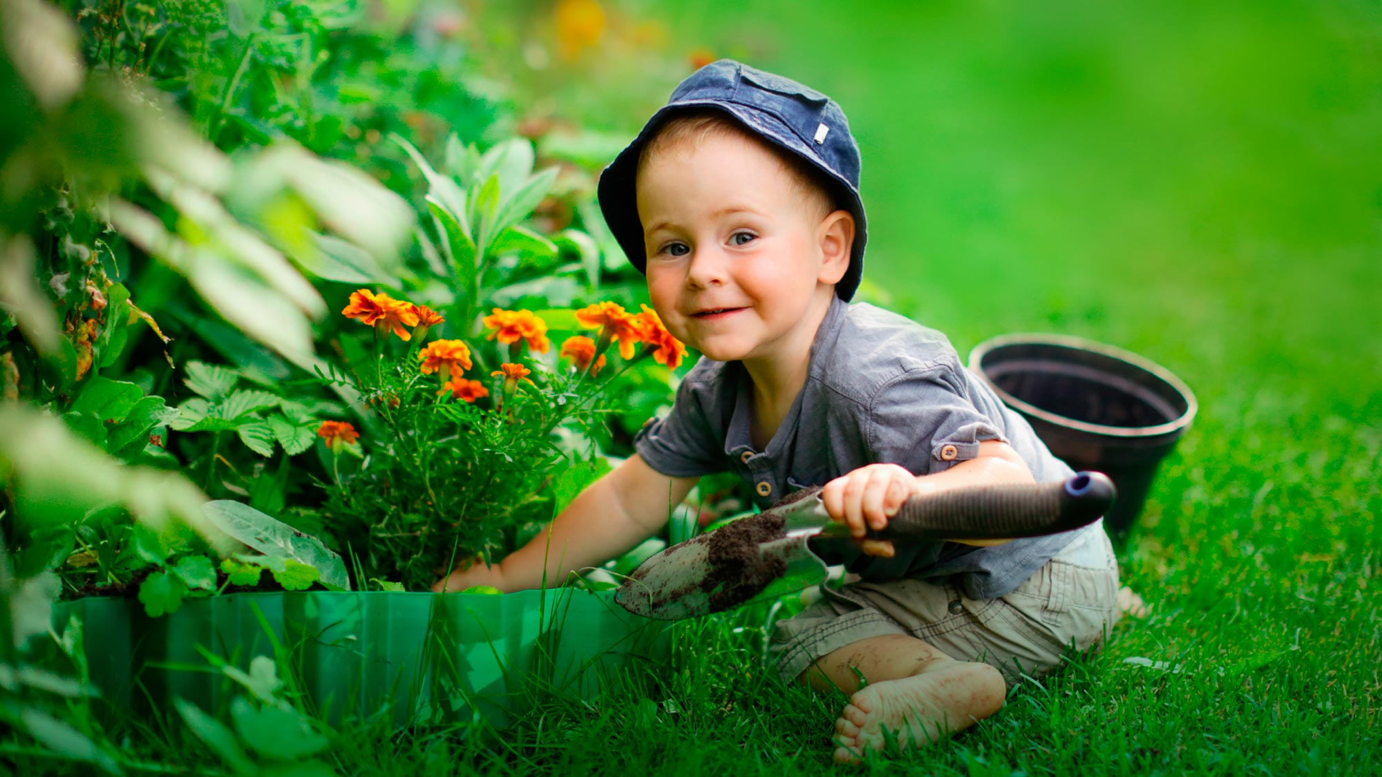 Seguridad y Tranquilidad